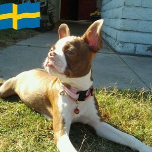 Meet your Posher, Jerry